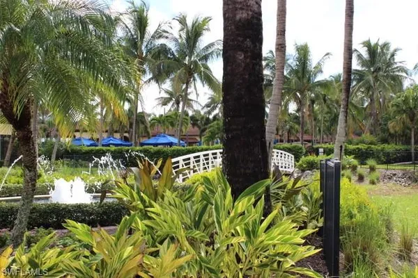 a view of a yard with plants