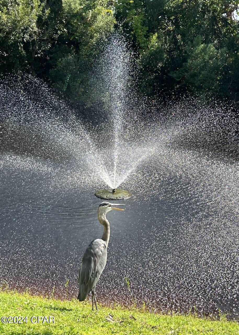 17462 Front Beach Road, Unit 2B6 Panama City Beach, FL 32413 - Photo 61 of 62