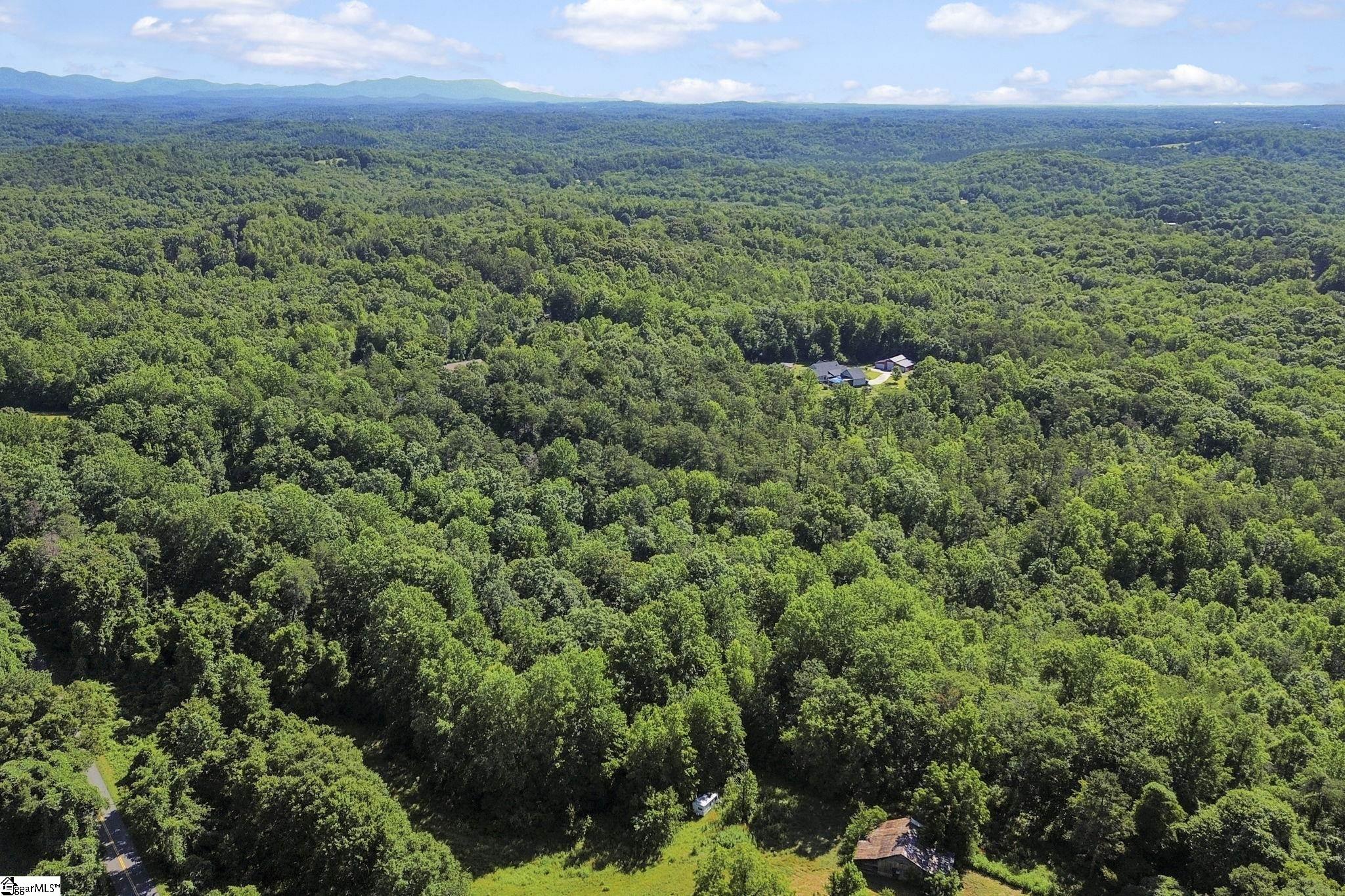 196 Raines Road Easley, SC 29640 - Photo 21 of 41
