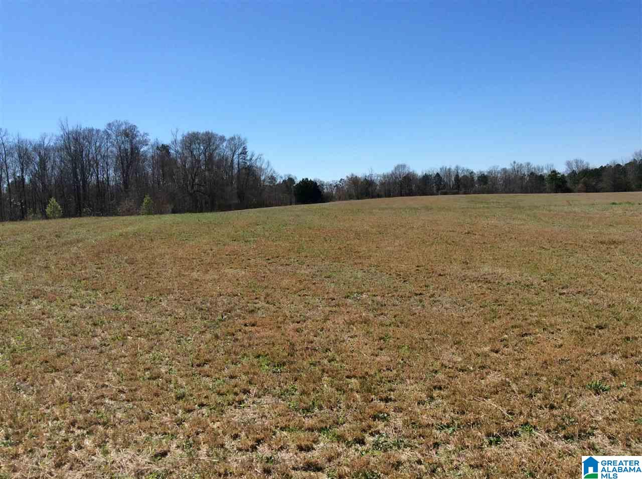 0 Coats Bend Road, Unit 1 Gadsden, AL 35901 - Photo 5 of 20
