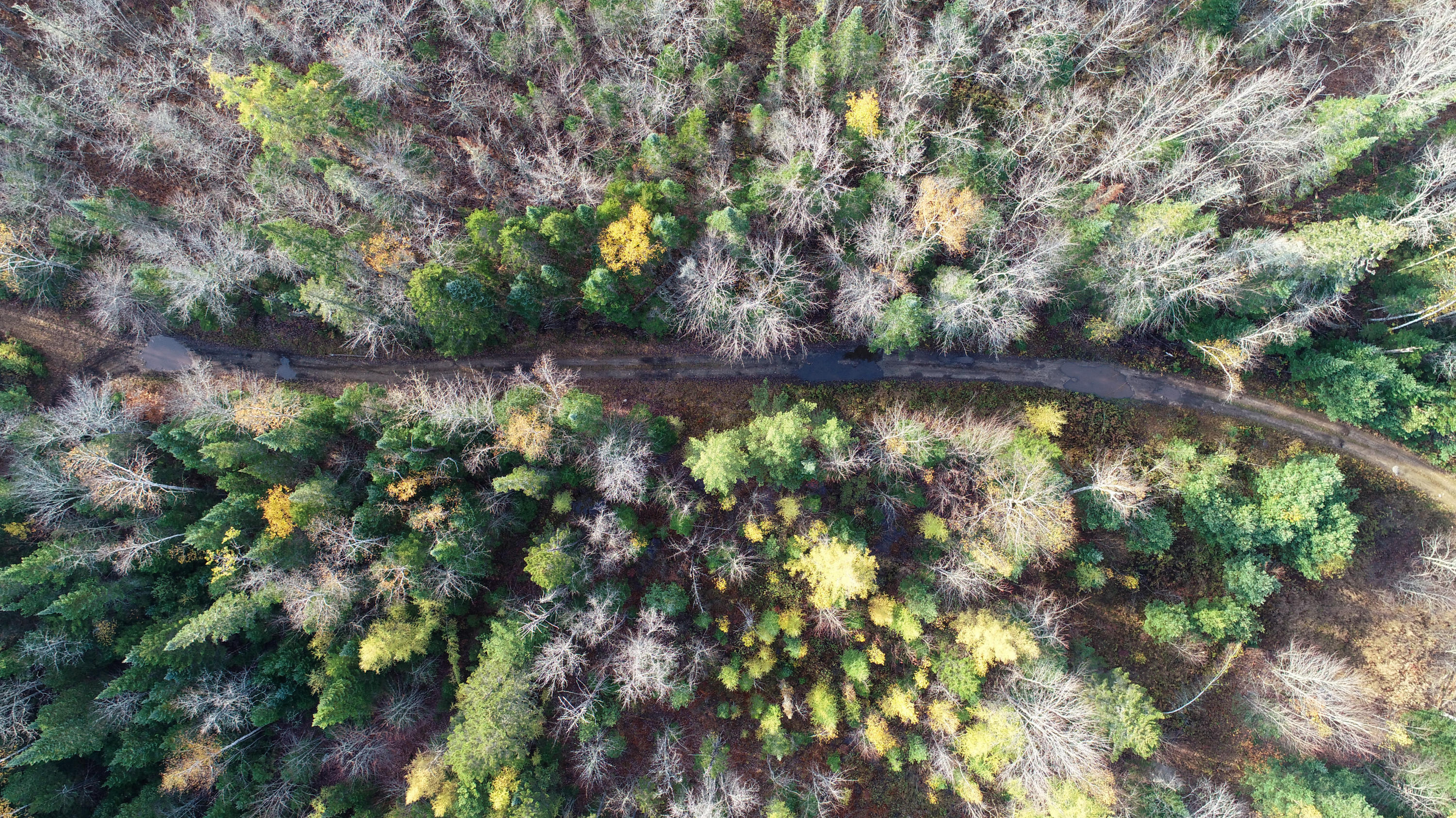 Tdb Roxbury Notch Road Roxbury, ME 04275 - Photo 17 of 29 DJI_0102