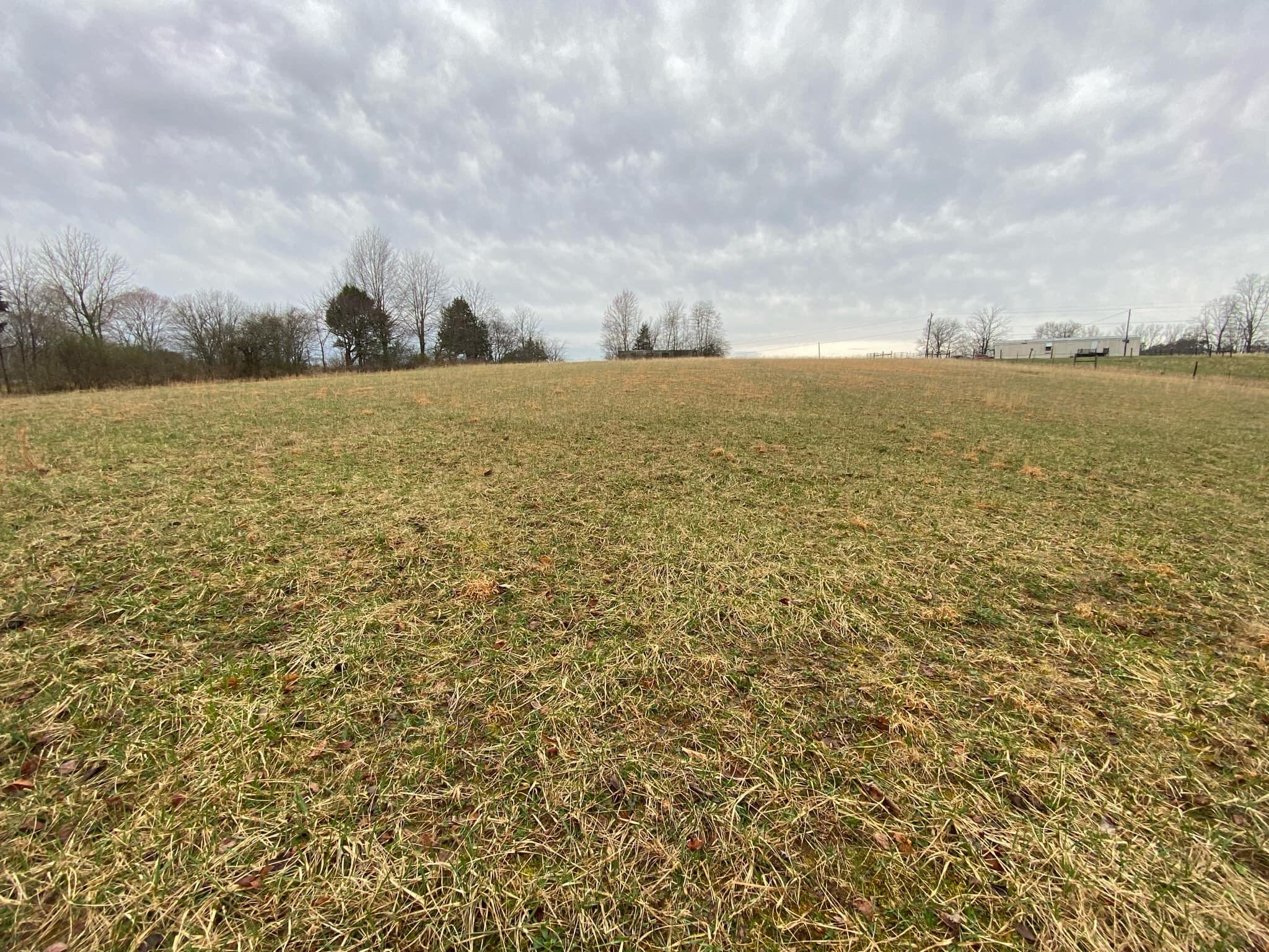 1 Beech Grove Road Science Hill, KY 42553 - Photo 1 of 1 front
