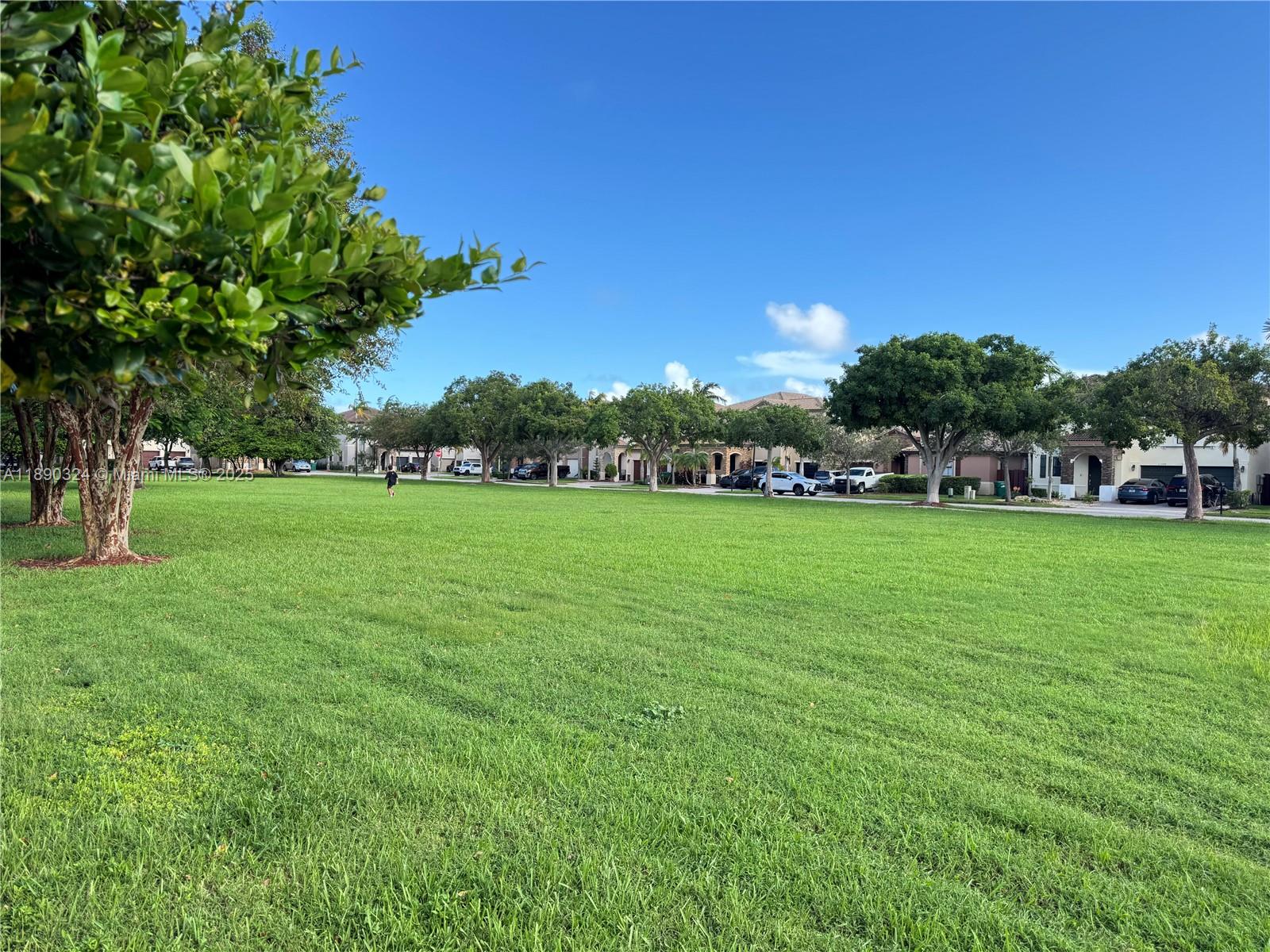 11291 Southwest 240 Lane Homestead, FL 33032 - Photo 22 of 22 a view of yard with grass and trees
