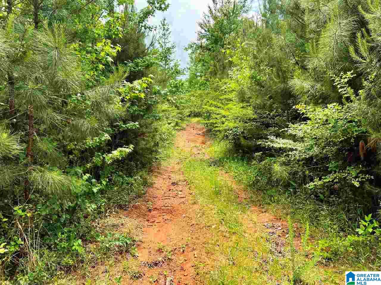261 County Road, Unit 32 Lineville, AL 36266 - Photo 6 of 8