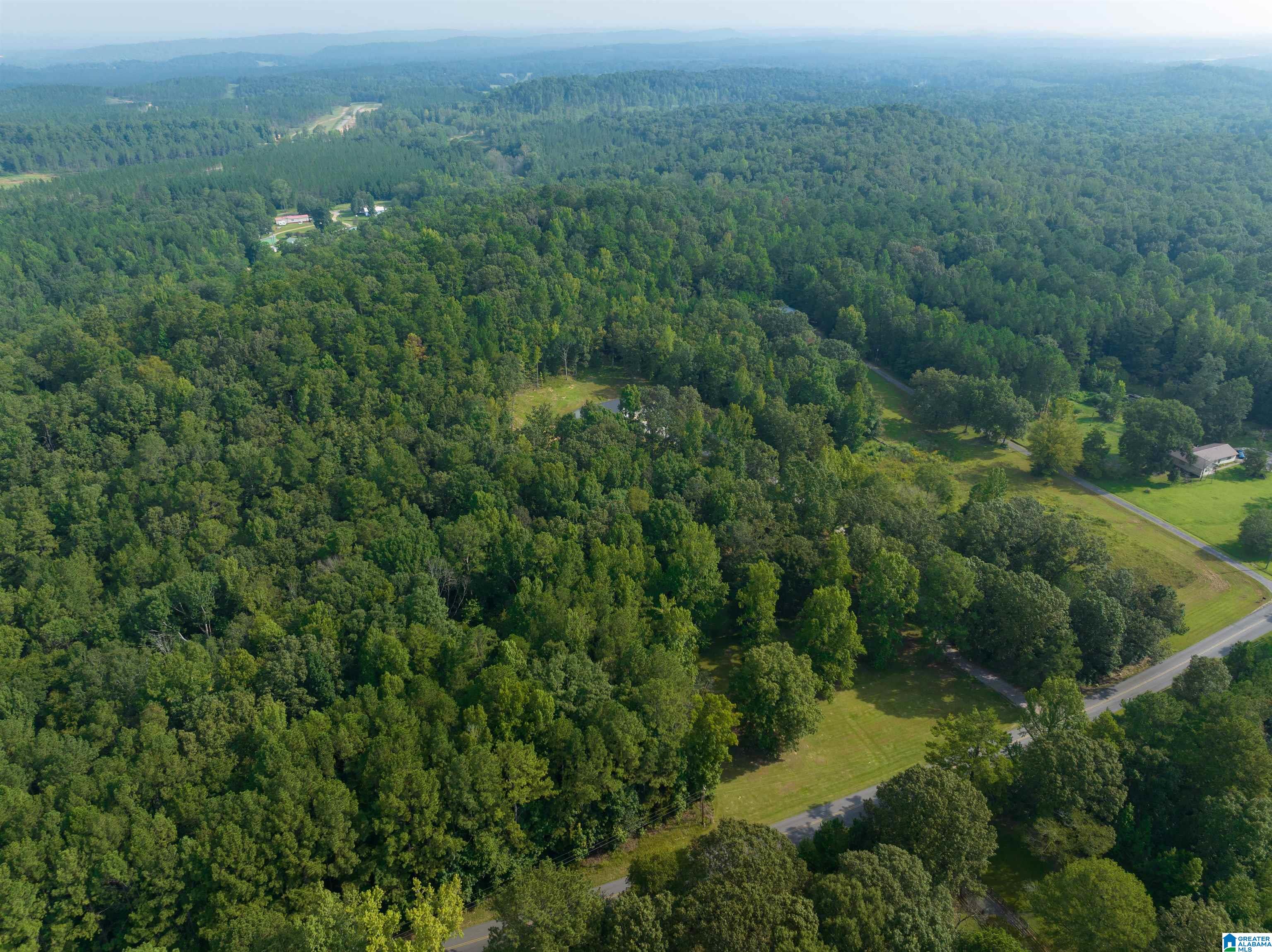 525 Deer Trace Road Pell City, AL 35125 - Photo 6 of 44