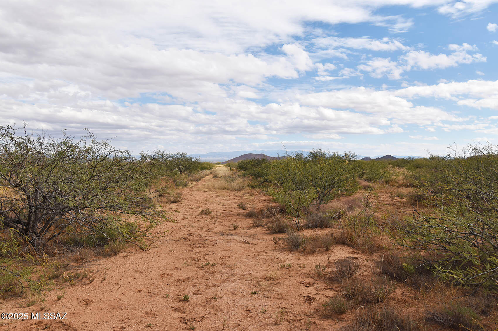 4-lots 4-lots Unnamed Road, Unit 456 Pearce, AZ 85625 - Photo 6 of 20