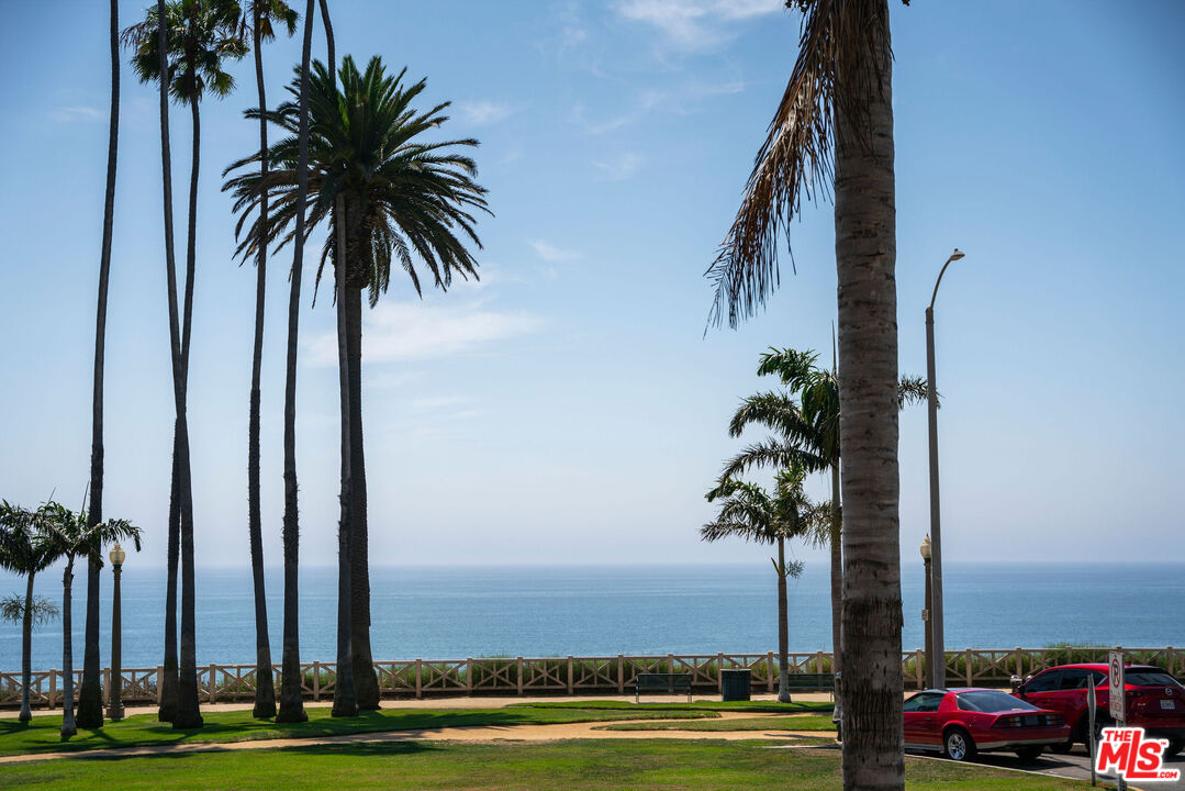 1033 Ocean Avenue, Unit 104 Santa Monica, CA 90403 - Photo 25 of 26 a view of a palm and palm trees