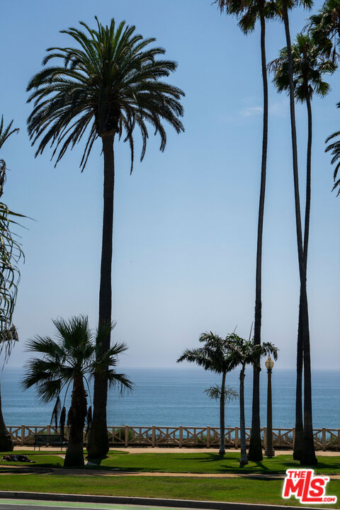 1033 Ocean Avenue, Unit 104 Santa Monica, CA 90403 - Photo 26 of 26 a view of three palm trees