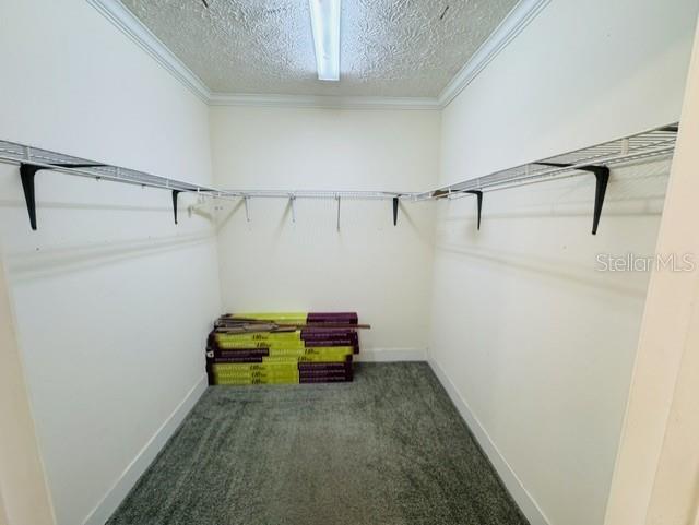 11817 Southwest 58th Street Webster, FL 33597 - Photo 19 of 46 a bathroom with a shower and a sink