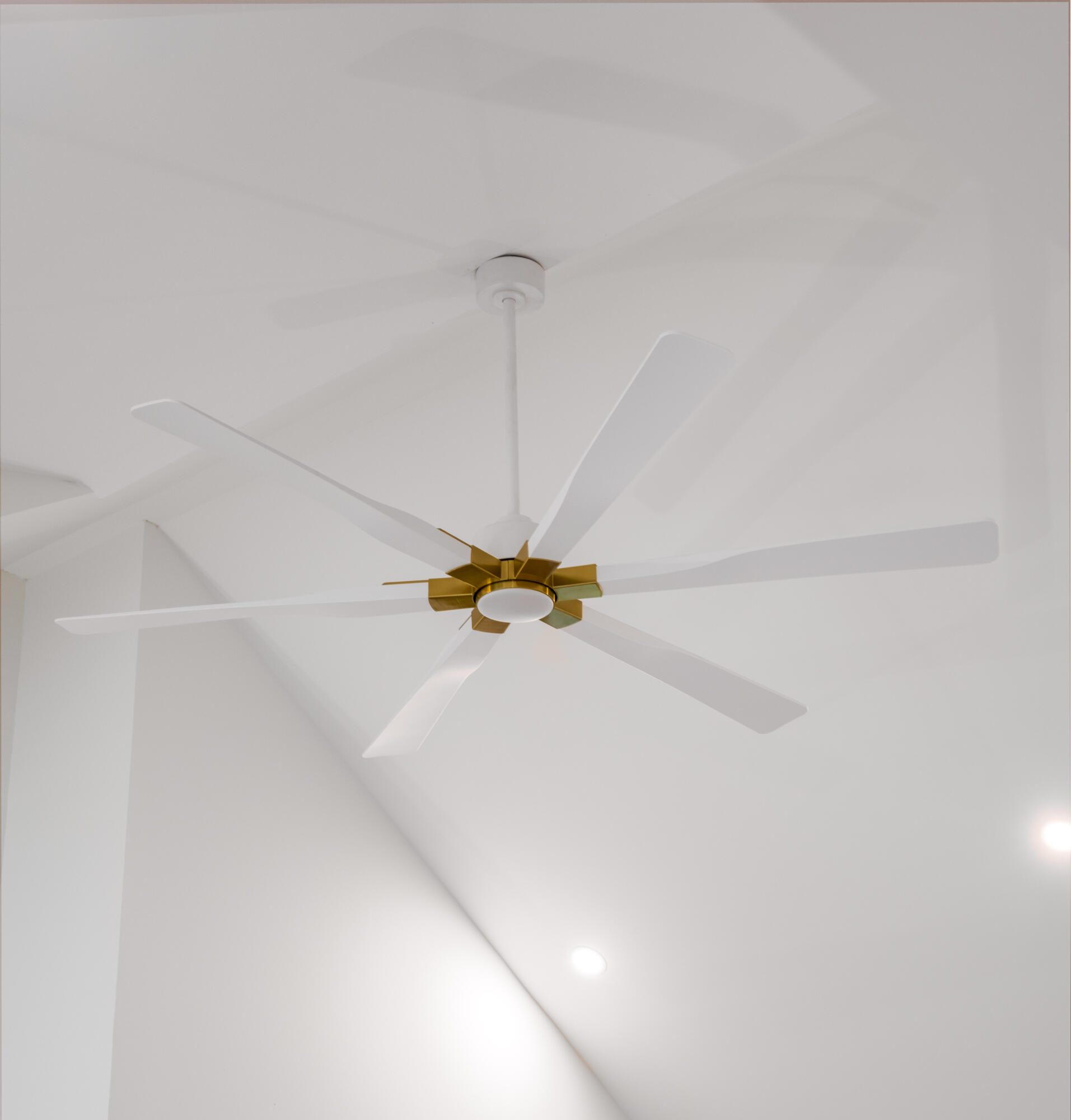 1405 Heather Drive Mount Pleasant, SC 29464 - Photo 21 of 69 1405 Heather Dr_Eterna_Media-34