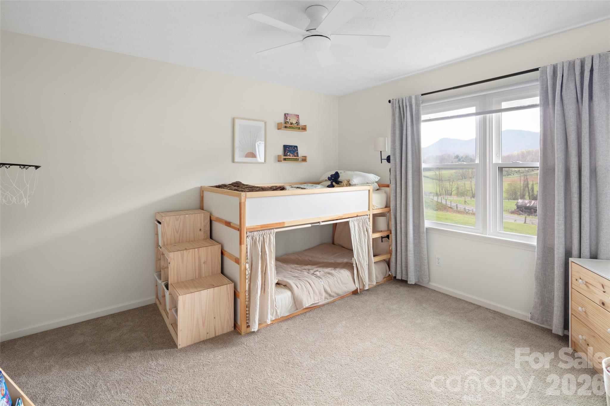 17 Boyd Cove Road Leicester, NC 28748 - Photo 22 of 40