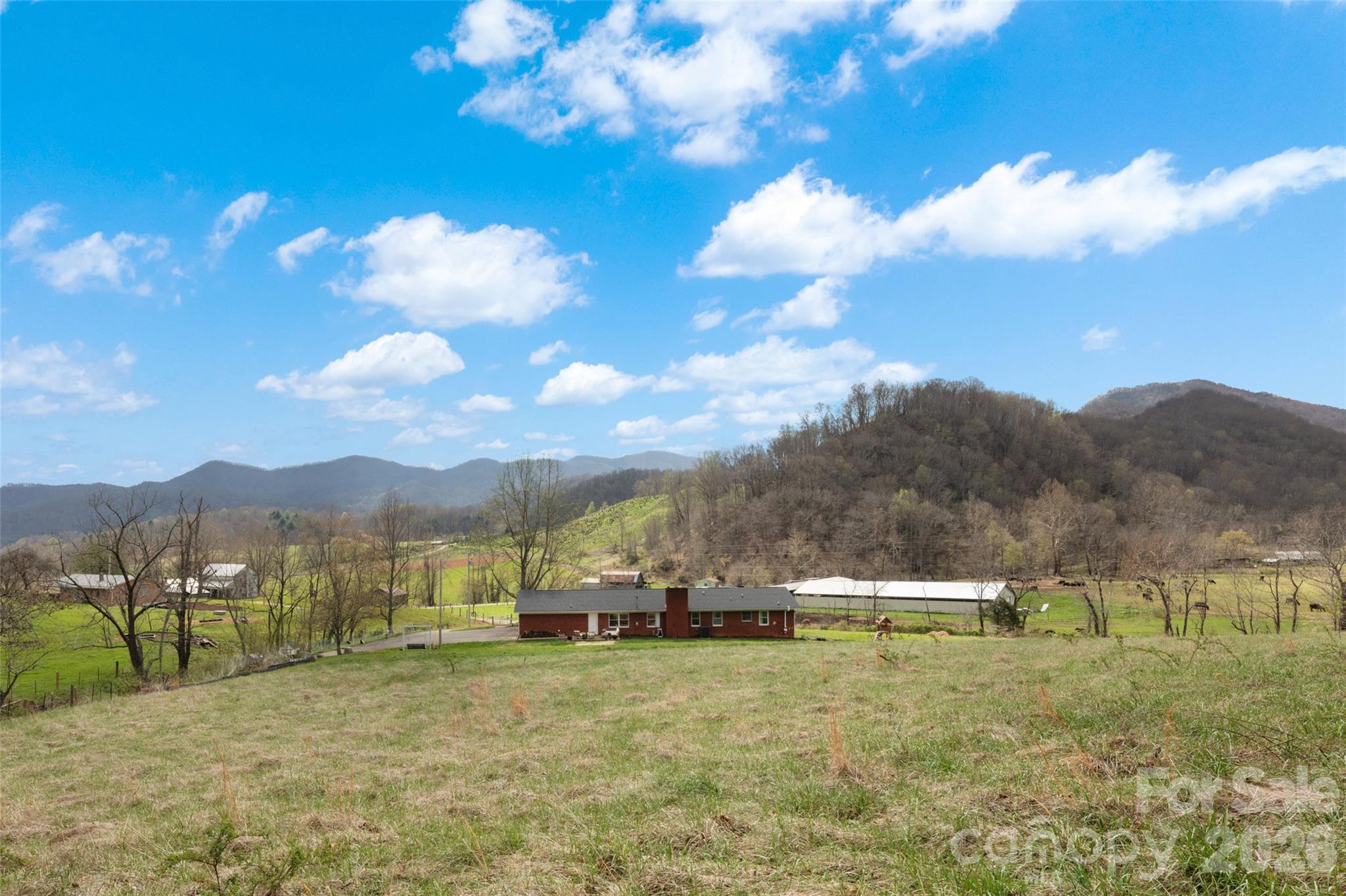 17 Boyd Cove Road Leicester, NC 28748 - Photo 30 of 40