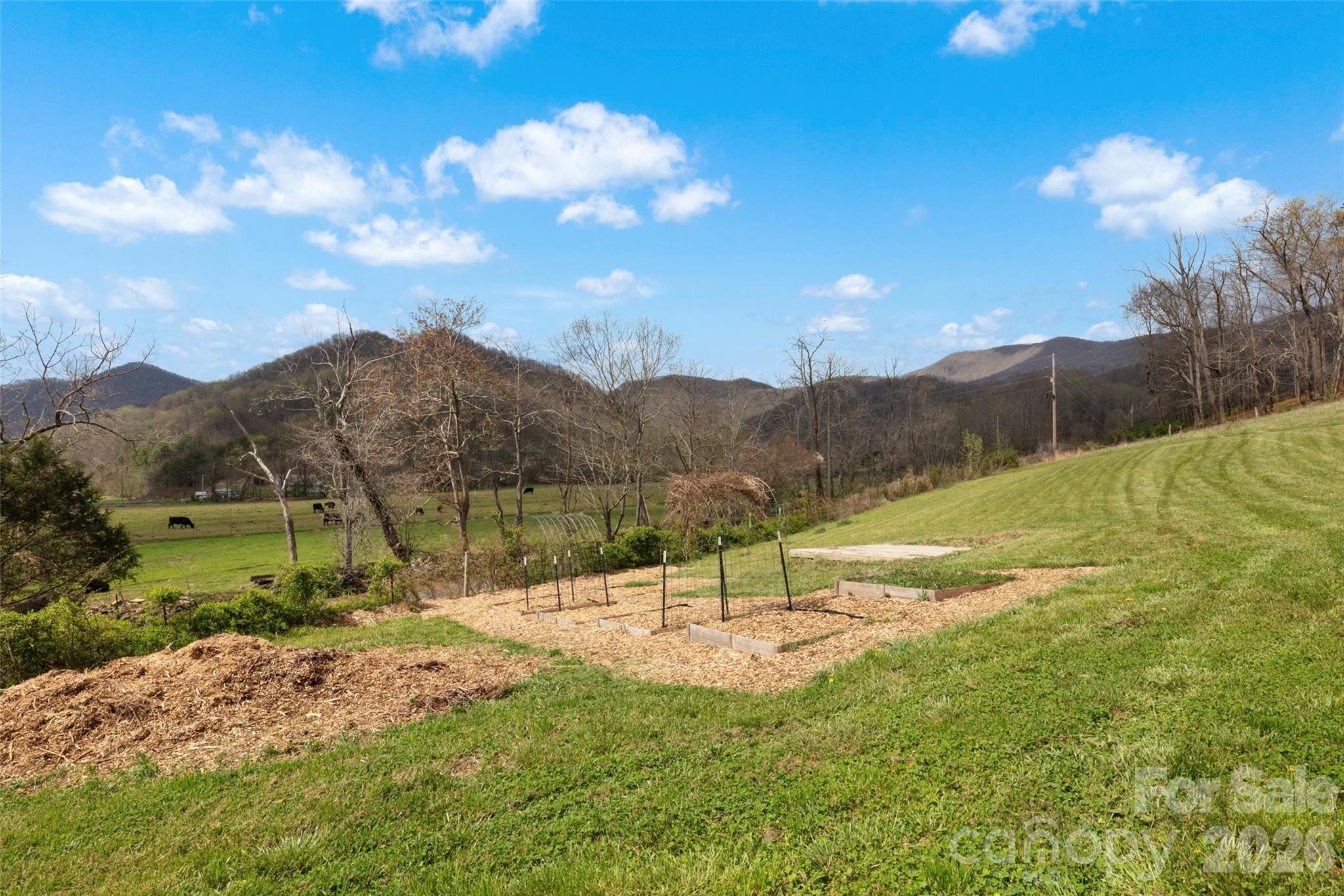 17 Boyd Cove Road Leicester, NC 28748 - Photo 35 of 40