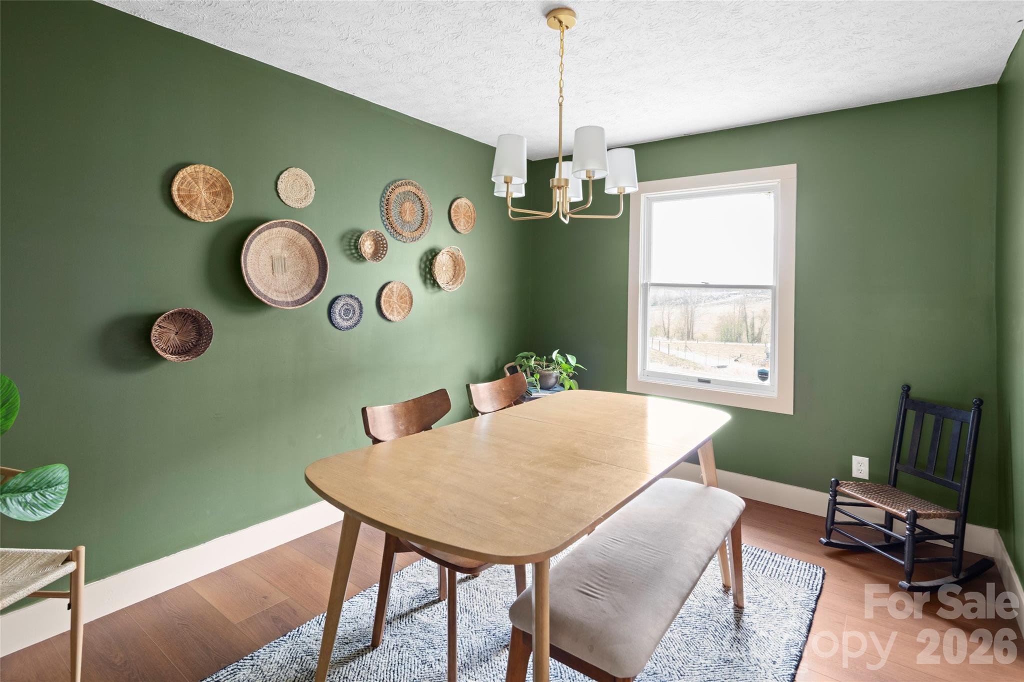 17 Boyd Cove Road Leicester, NC 28748 - Photo 10 of 40