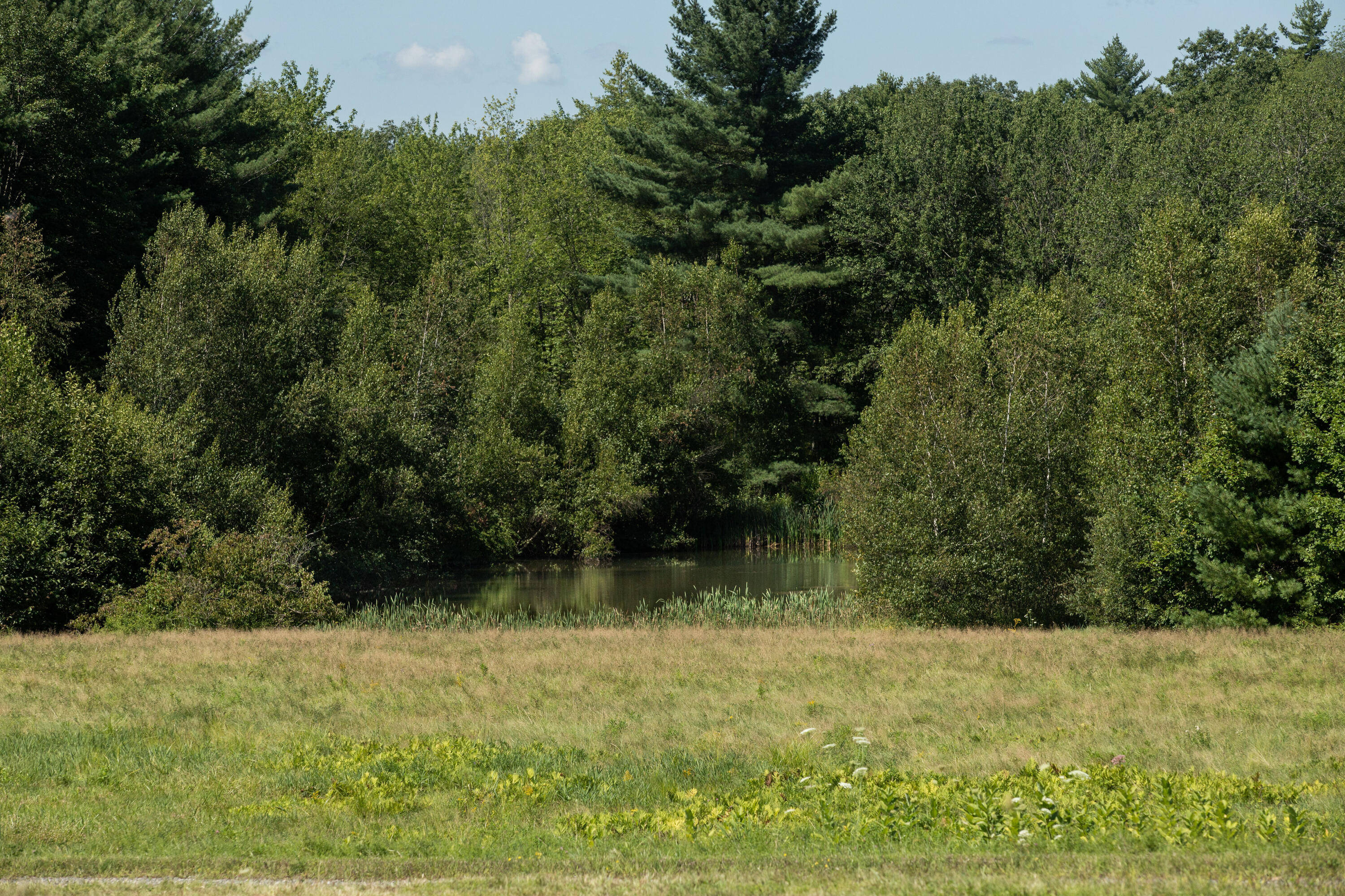 21 Guinea Road, Unit LOT B Berwick, ME 03901 - Photo 2 of 15 Overlooking Pond