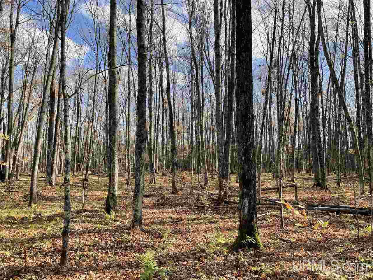 Tbd Ridgeview Road, Unit LOTS 34 & 35 Iron River, MI 49935 - Photo 2 of 45 Gallery Image 2