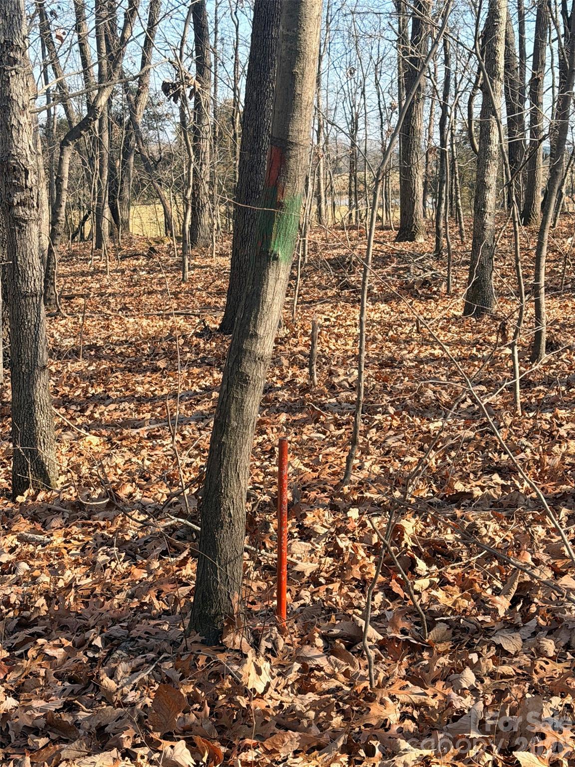 414 Drye Road, Unit TR 2 Polkton, NC 28135 - Photo 11 of 12 a backyard of a house with lots of green space