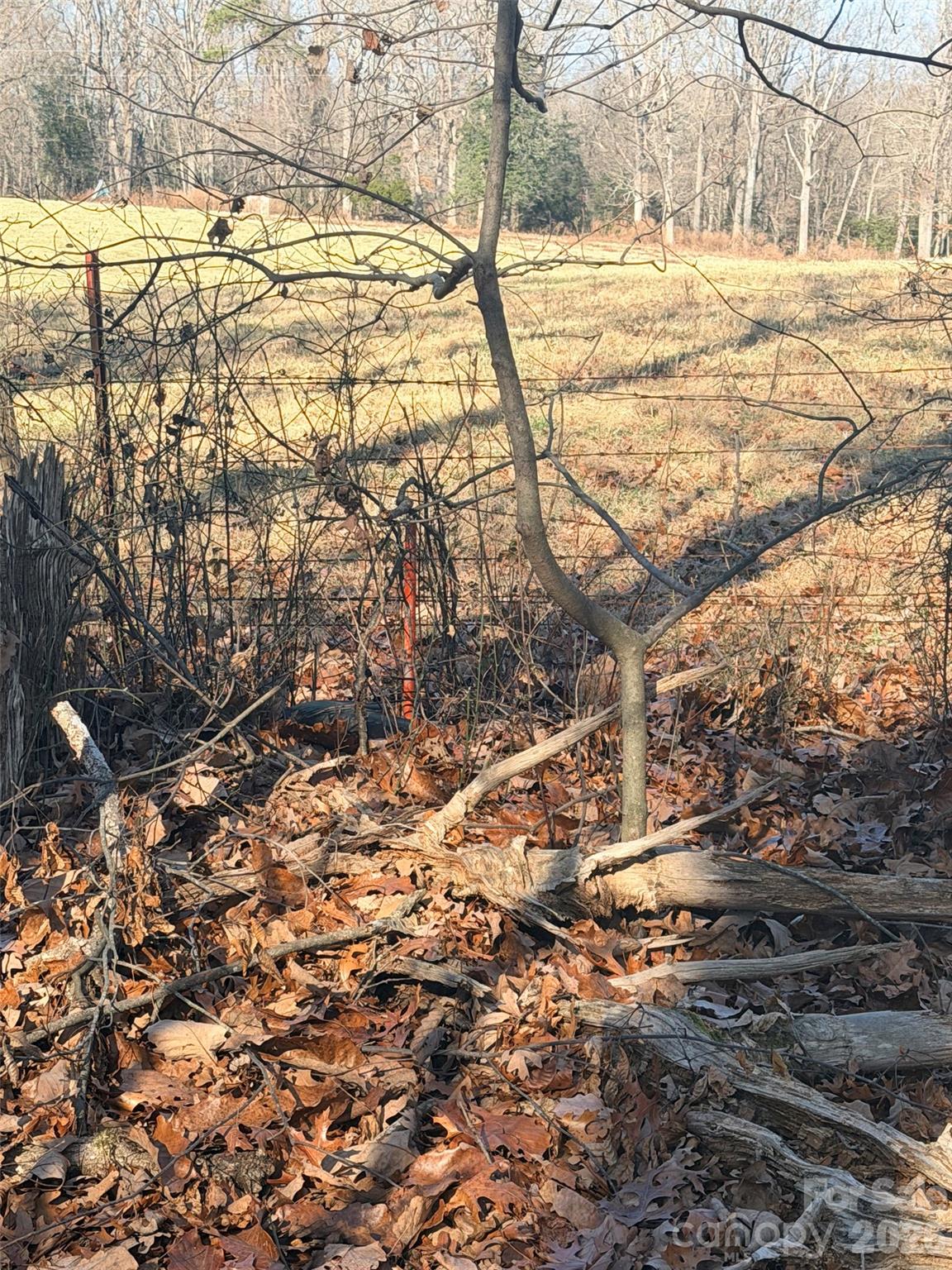 414 Drye Road, Unit TR 2 Polkton, NC 28135 - Photo 12 of 12 a view of yard with wooden fence