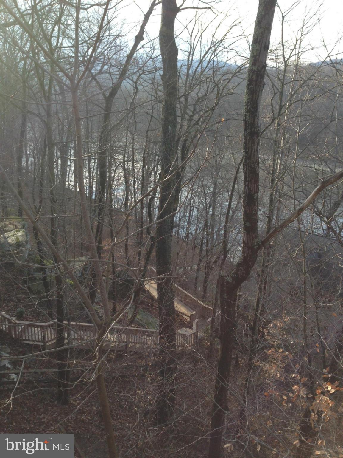 6622 West Lakeridge Road New Market, MD 21774 - Photo 3 of 17 View from Deck