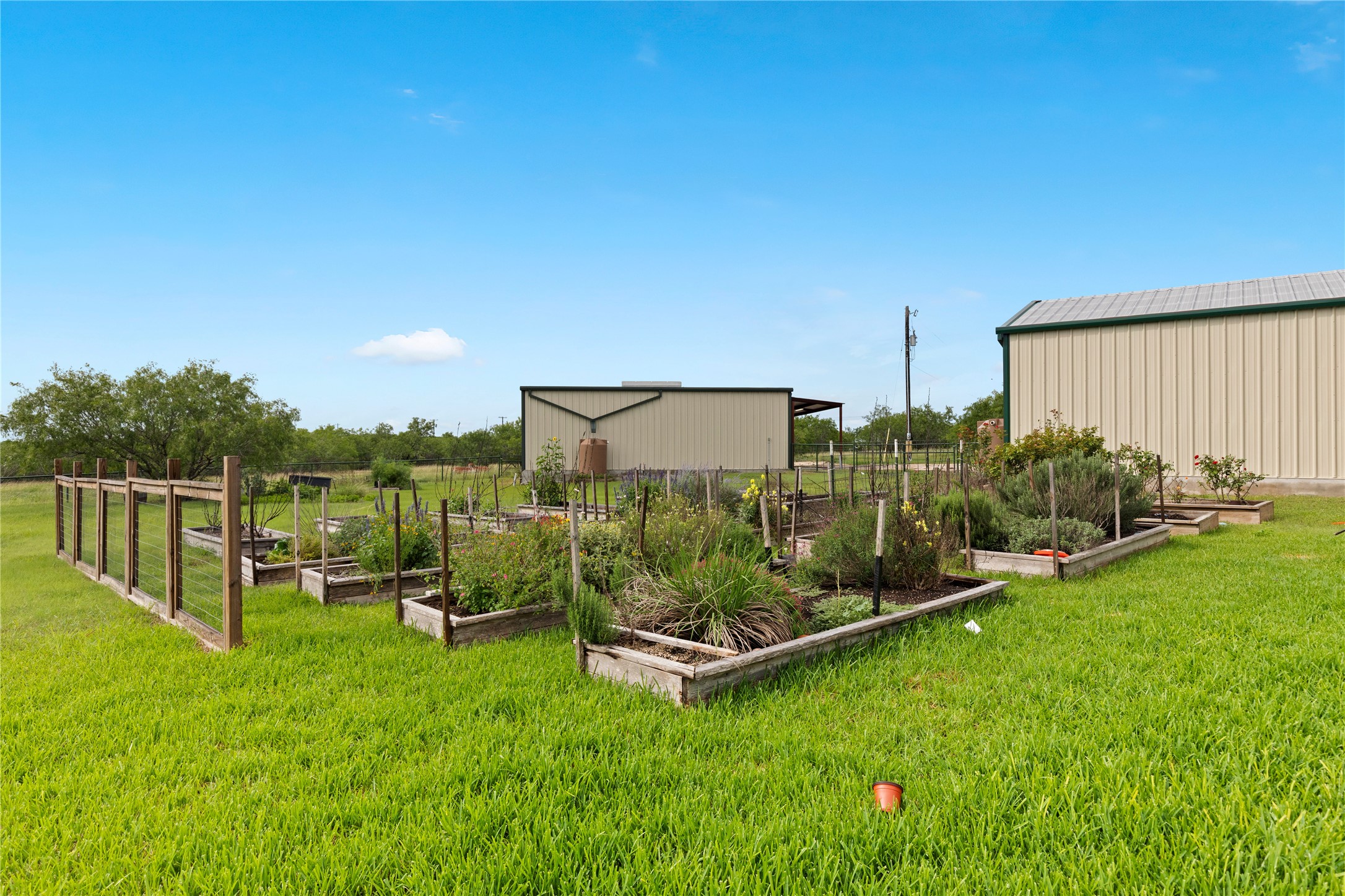1293 Pioneer Road Seguin, TX 78155 - Photo 39 of 40 Cultivate your own harvest in this expansive yard with multiple raised garden beds.