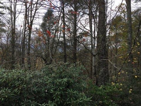 579 K And R Road Butler, TN 37640 - Photo 26 of 92 IMG_40741