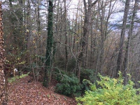 579 K And R Road Butler, TN 37640 - Photo 33 of 92 IMG_40771