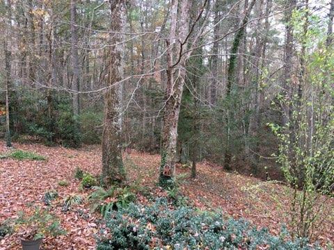 579 K And R Road Butler, TN 37640 - Photo 45 of 92 IMG_40991