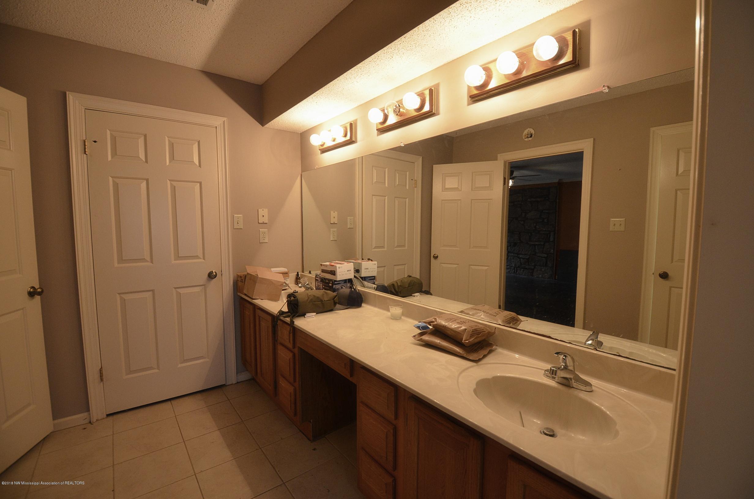 3265 Getwell Road South Hernando, MS 38632 - Photo 20 of 33 Master bath vanity