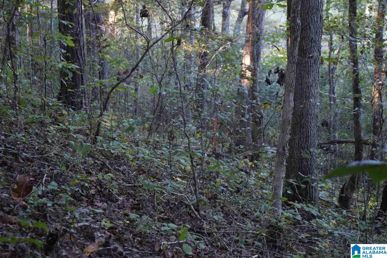 0 Mountain Lake Road, Unit LOT 7 Warrior, AL 35180 - Photo 7 of 11