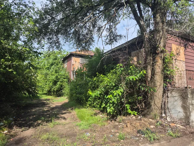 a backyard of a house with lots of green space
