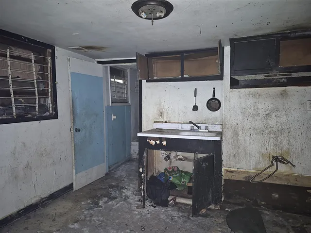 a view of a house with a dry plant
