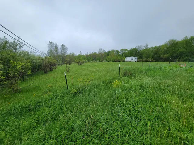 a view of a grassy field with trees