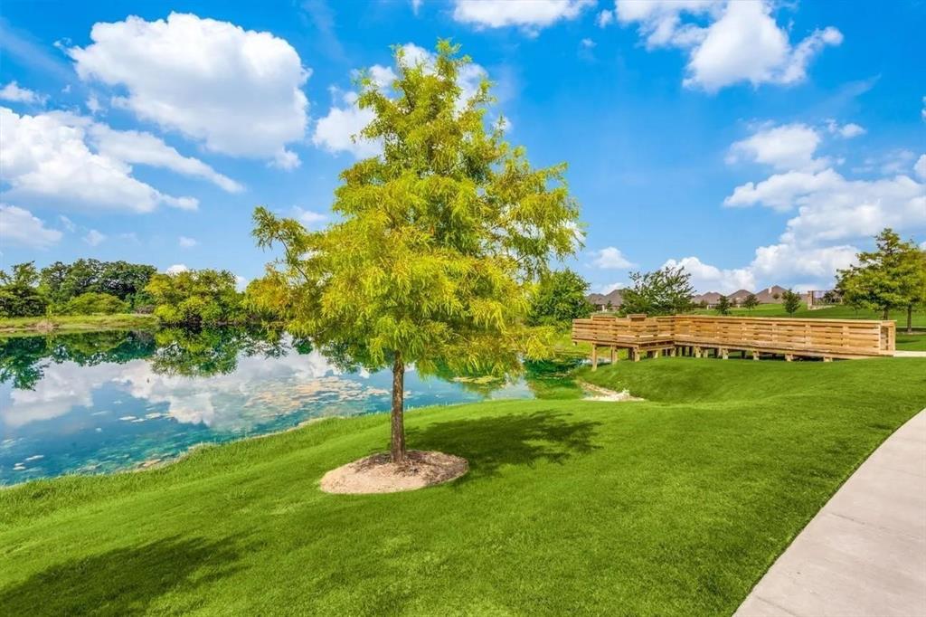 3323 Royal Ridge Drive Rockwall, TX 75087 - Photo 35 of 37 a view of a garden with a tree