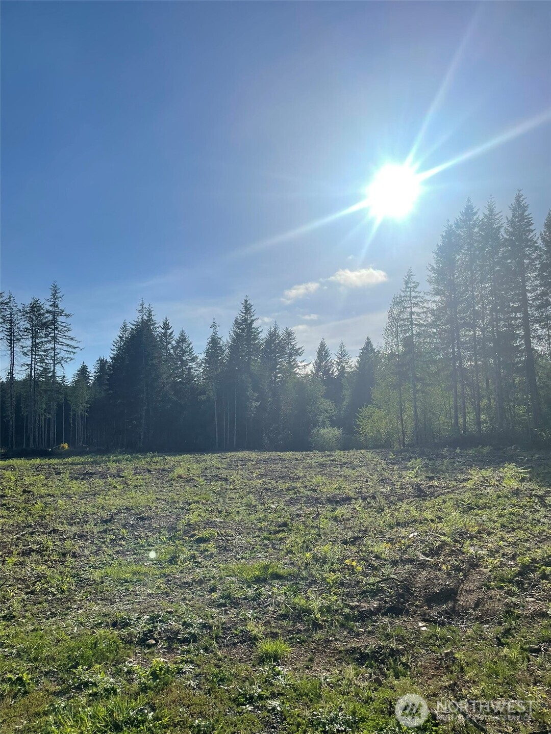 14253 West Cloquallum Road Elma, WA 98541 - Photo 1 of 40