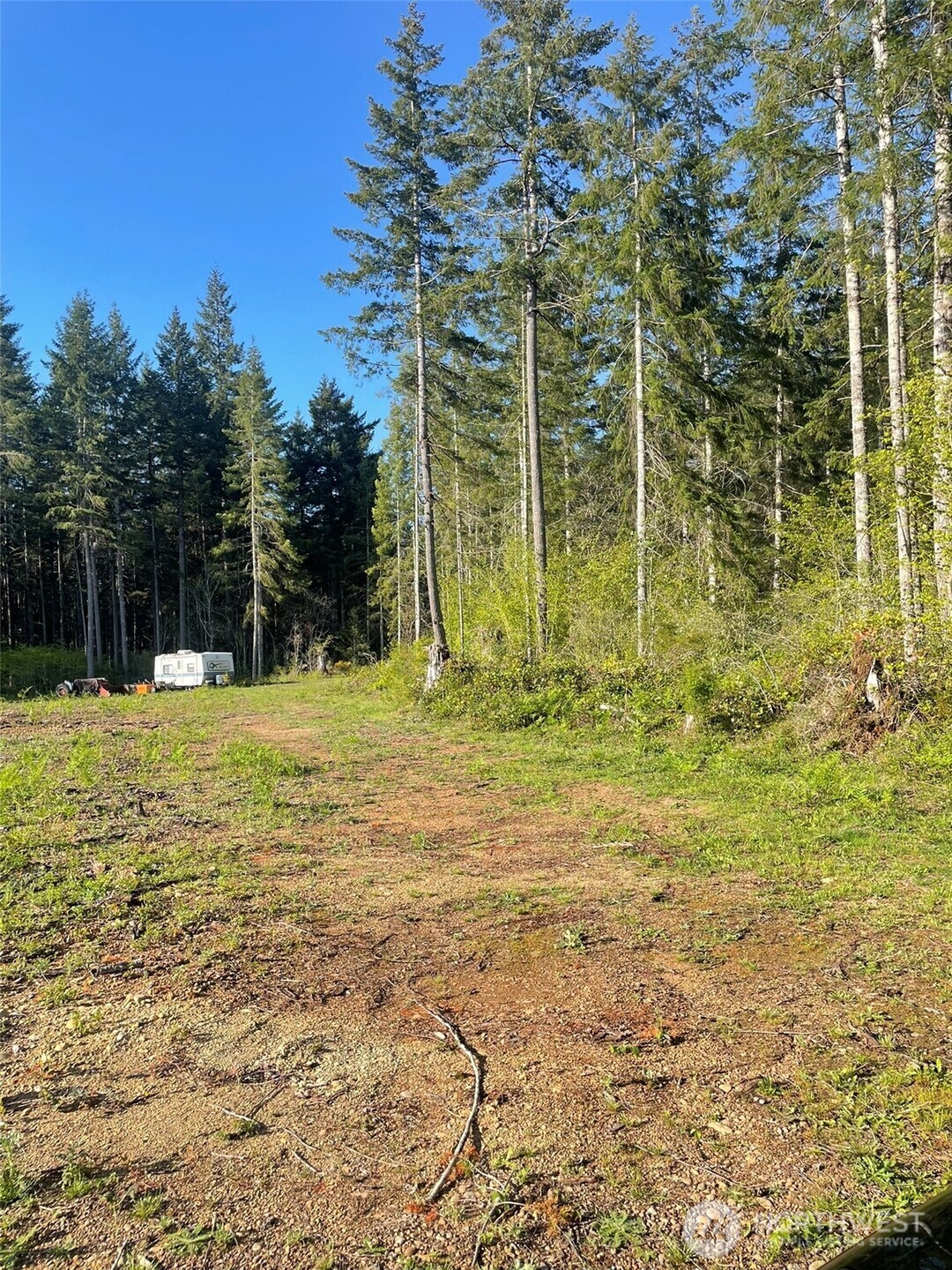 14253 West Cloquallum Road Elma, WA 98541 - Photo 13 of 40