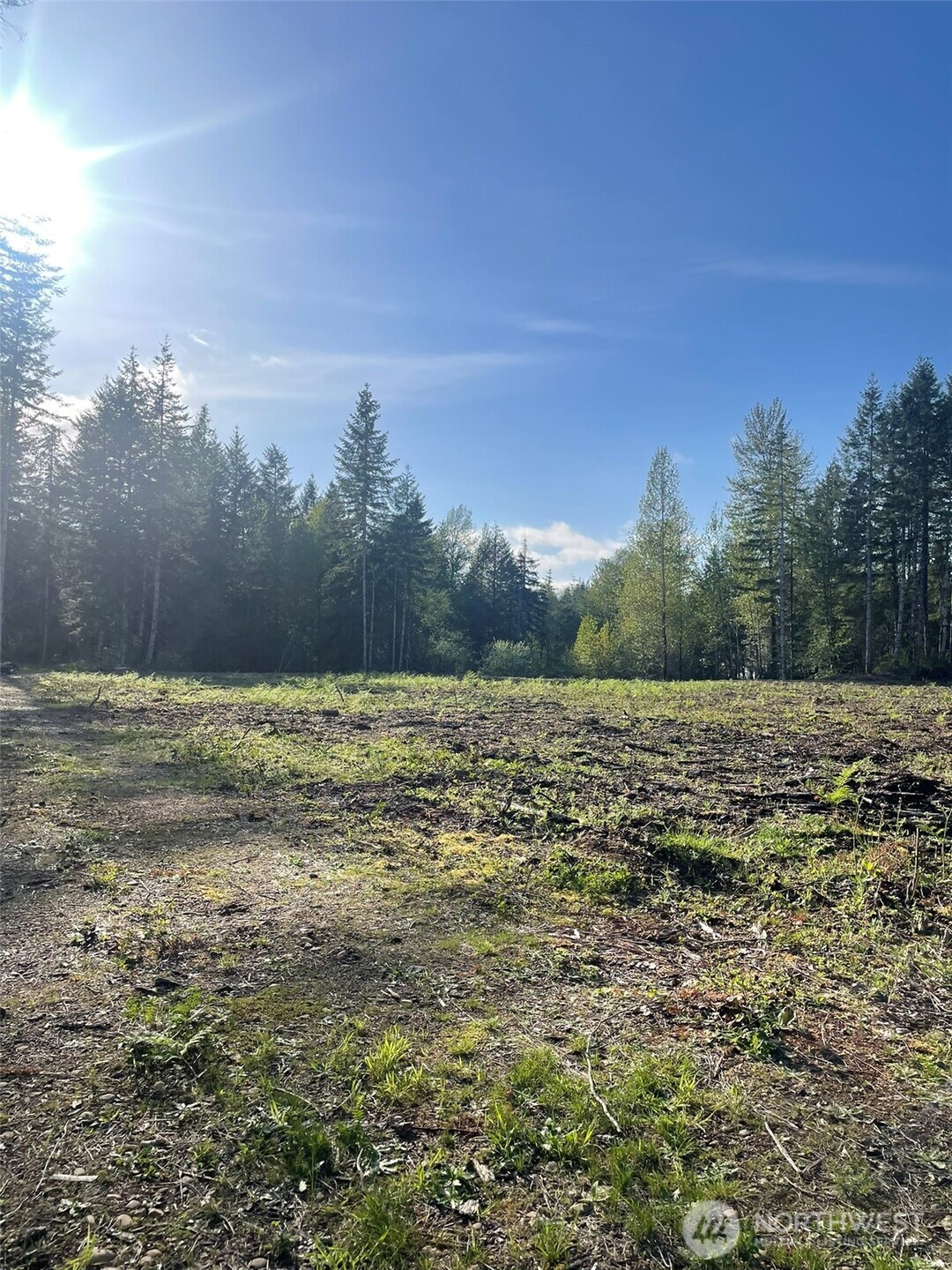 14253 West Cloquallum Road Elma, WA 98541 - Photo 14 of 40