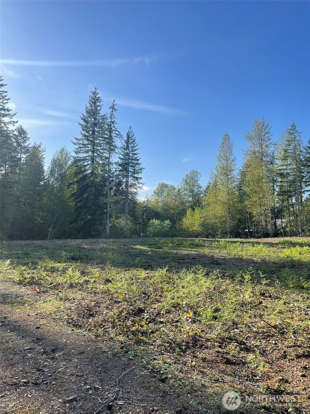 14253 West Cloquallum Road Elma, WA 98541 - Photo 19 of 40