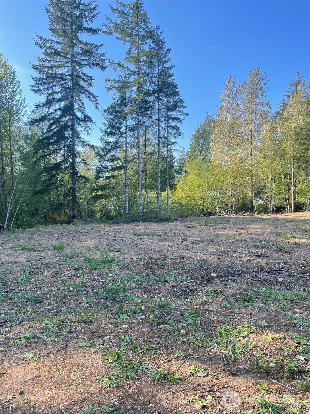 14253 West Cloquallum Road Elma, WA 98541 - Photo 22 of 40