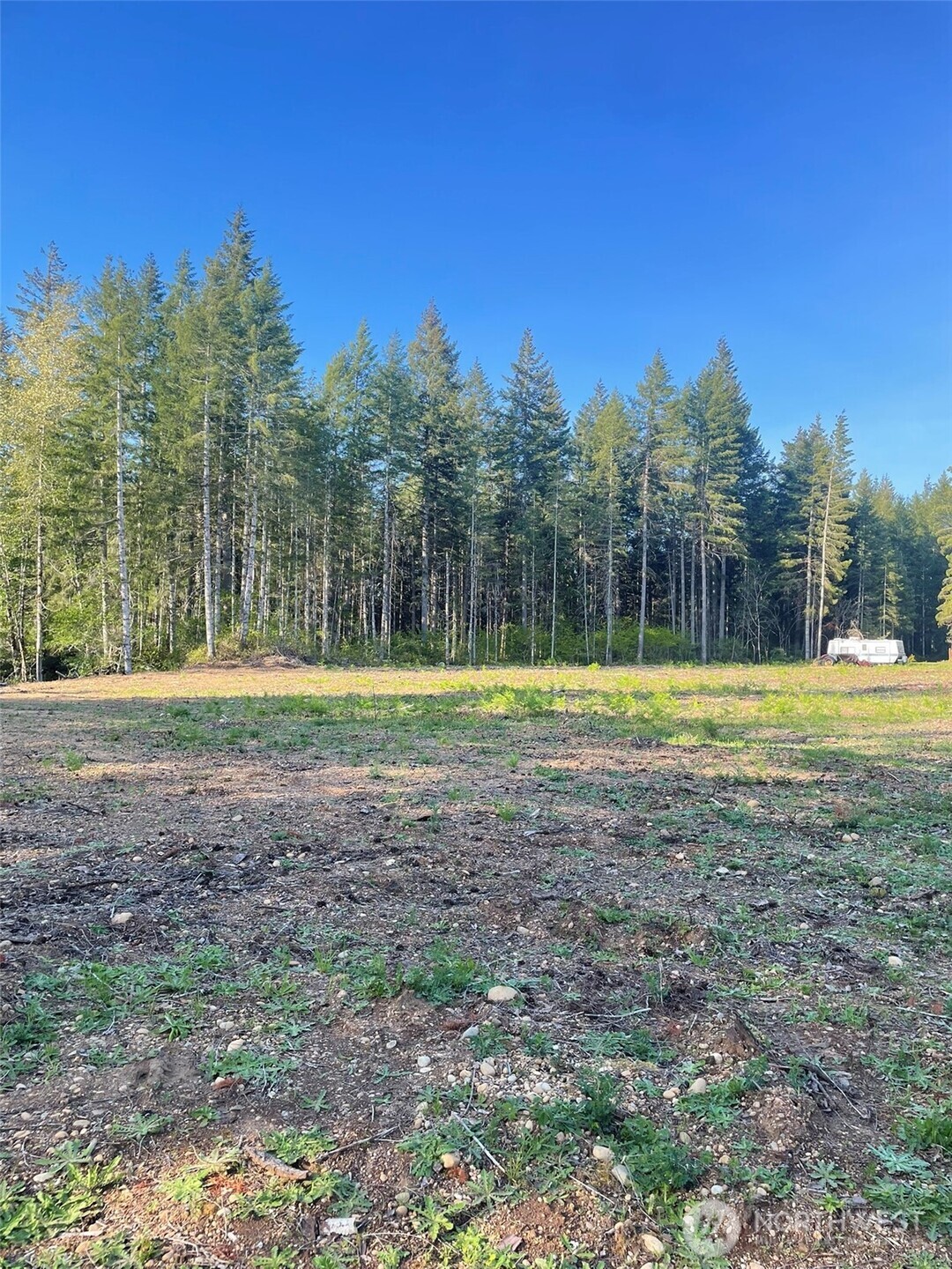 14253 West Cloquallum Road Elma, WA 98541 - Photo 23 of 40