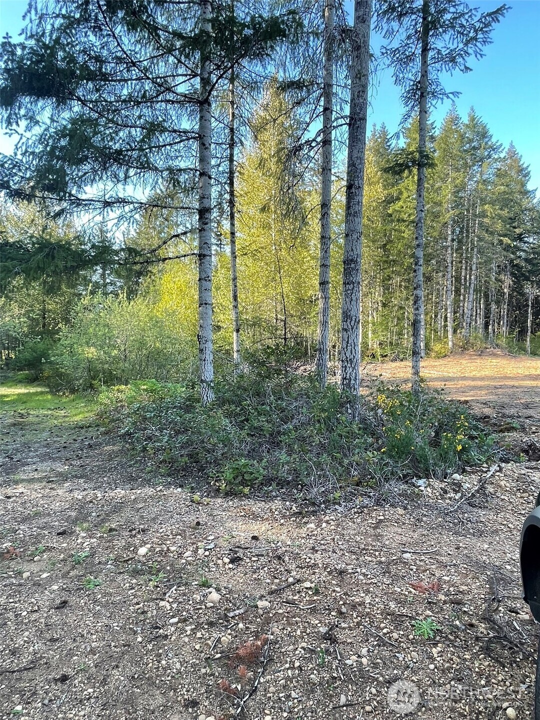 14253 West Cloquallum Road Elma, WA 98541 - Photo 25 of 40