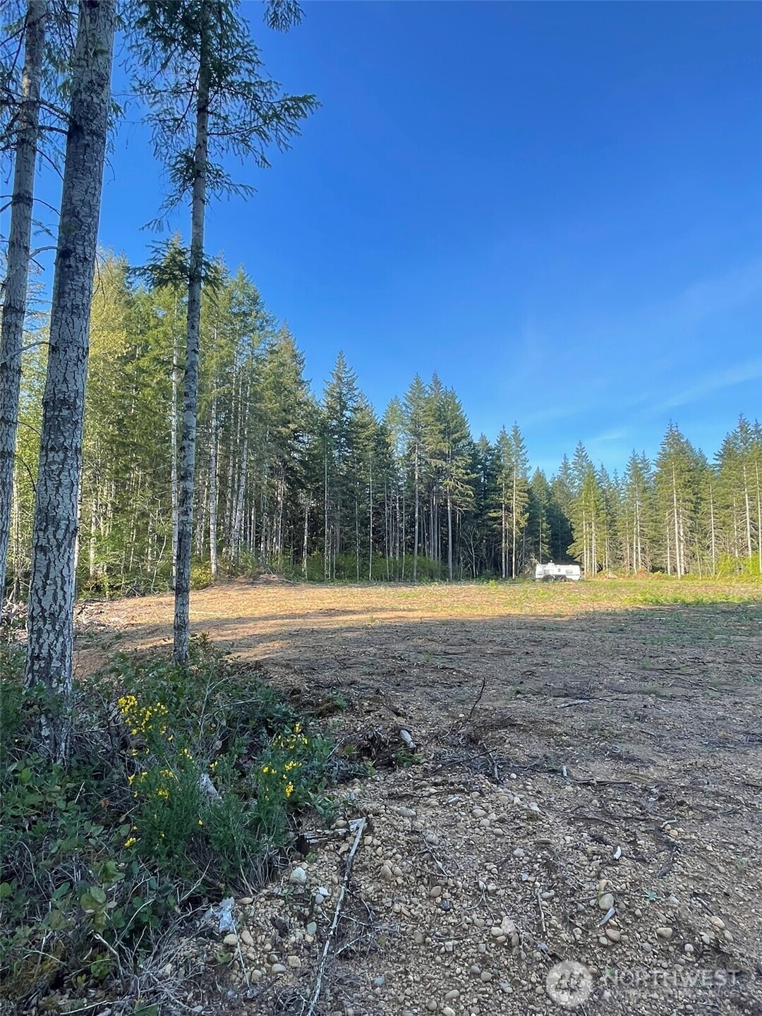 14253 West Cloquallum Road Elma, WA 98541 - Photo 26 of 40