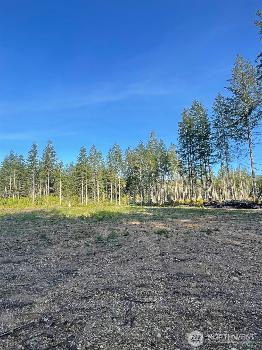 14253 West Cloquallum Road Elma, WA 98541 - Photo 27 of 40