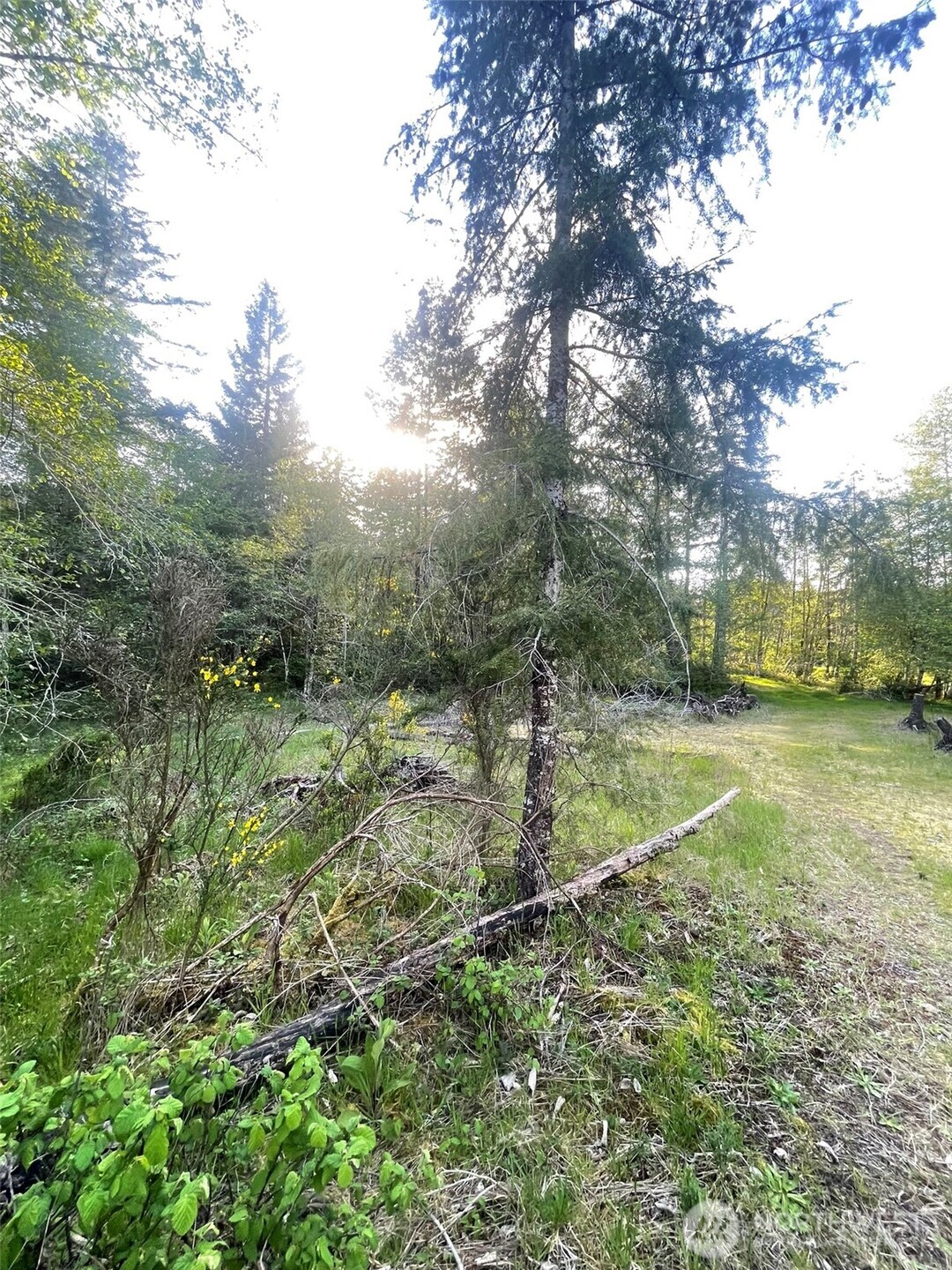 14253 West Cloquallum Road Elma, WA 98541 - Photo 28 of 40