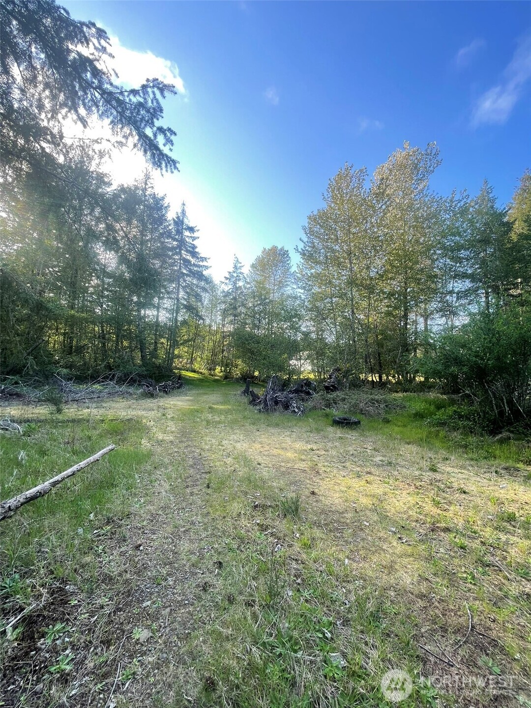 14253 West Cloquallum Road Elma, WA 98541 - Photo 29 of 40