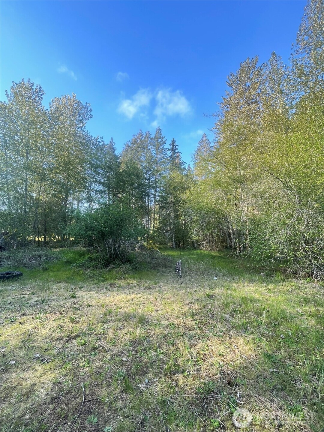 14253 West Cloquallum Road Elma, WA 98541 - Photo 30 of 40