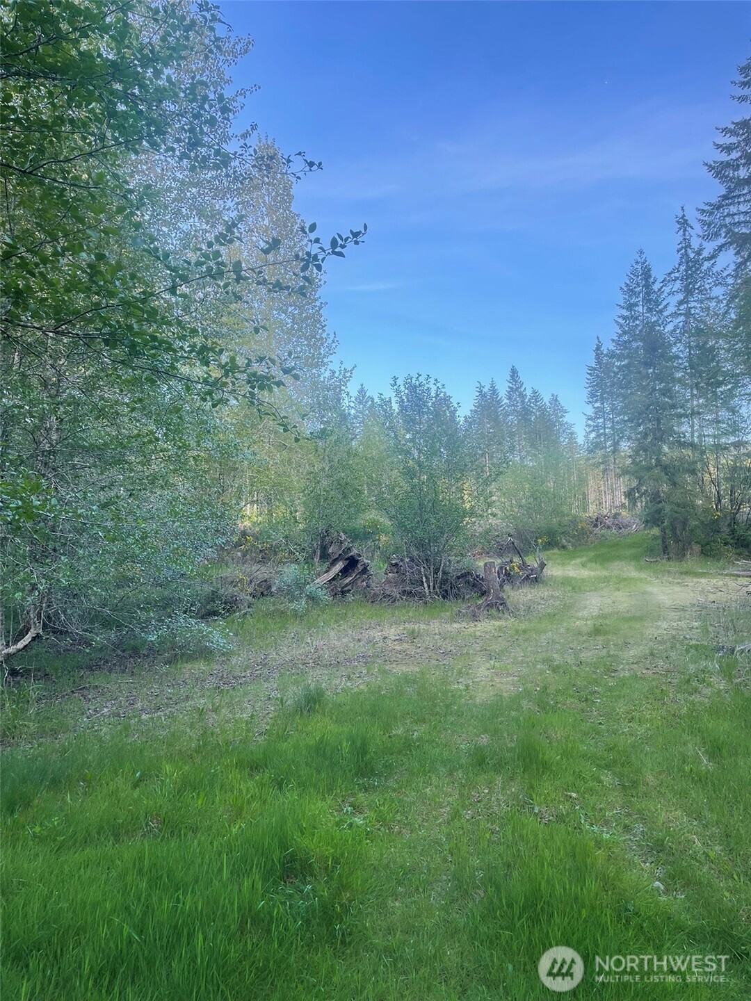 14253 West Cloquallum Road Elma, WA 98541 - Photo 37 of 40