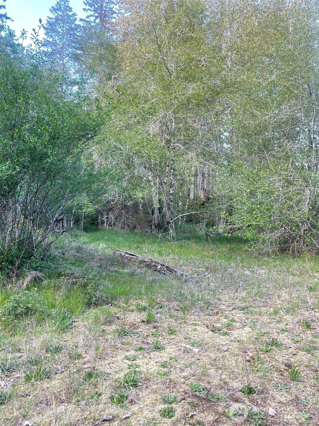 14253 West Cloquallum Road Elma, WA 98541 - Photo 38 of 40
