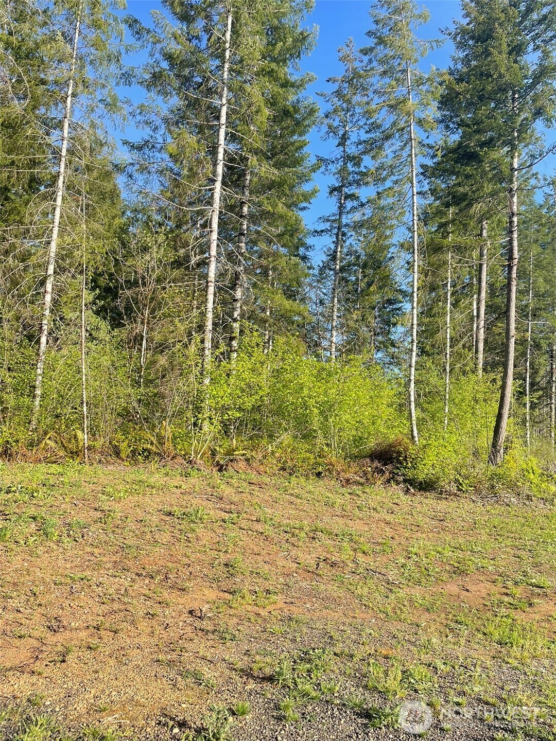 14253 West Cloquallum Road Elma, WA 98541 - Photo 6 of 40