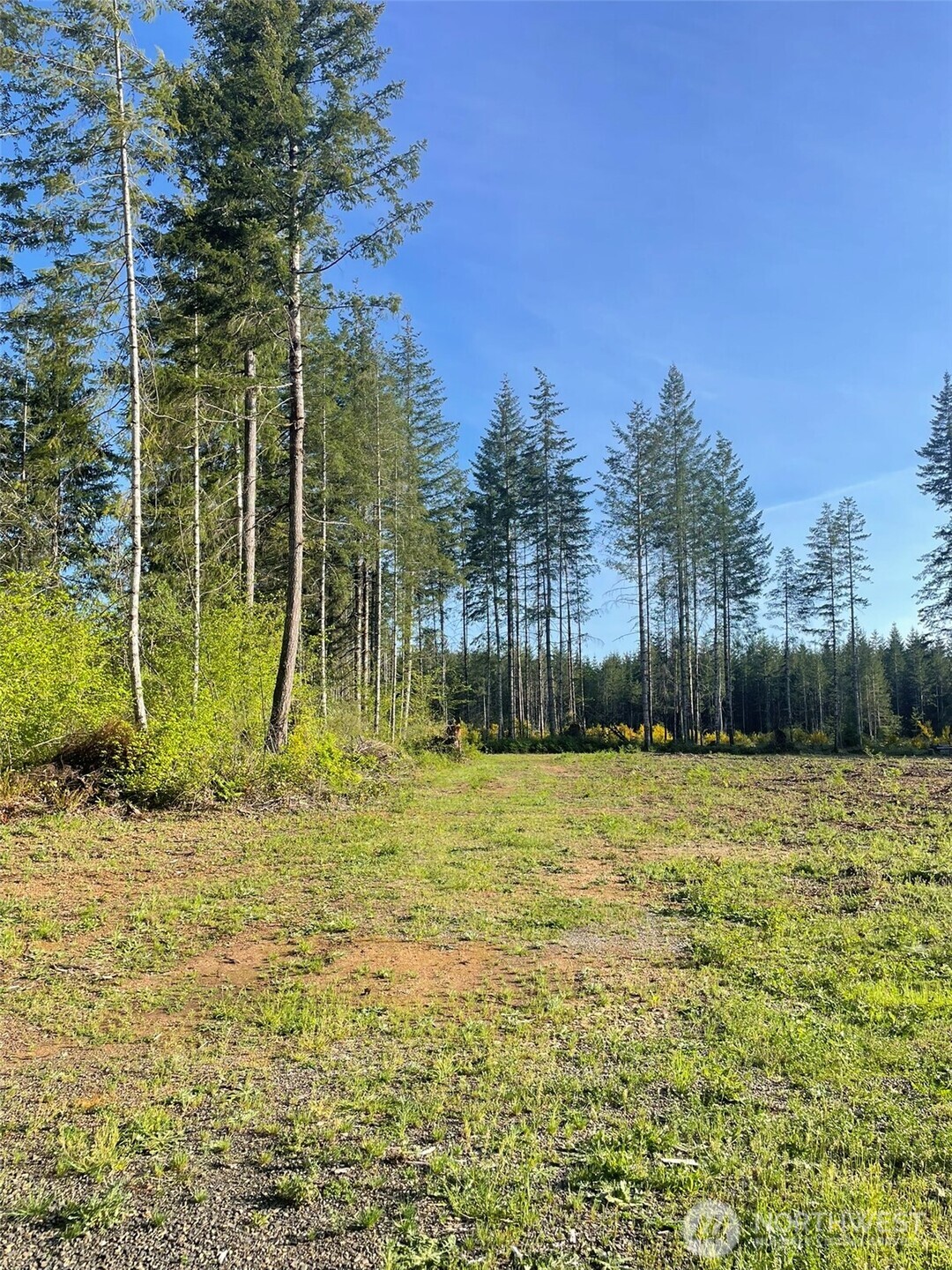 14253 West Cloquallum Road Elma, WA 98541 - Photo 7 of 40