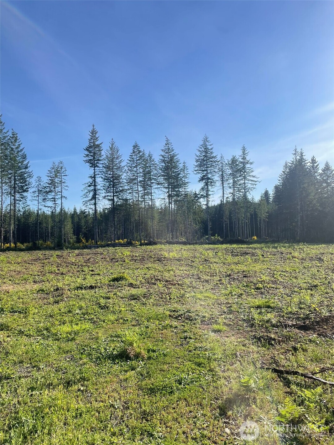 14253 West Cloquallum Road Elma, WA 98541 - Photo 8 of 40
